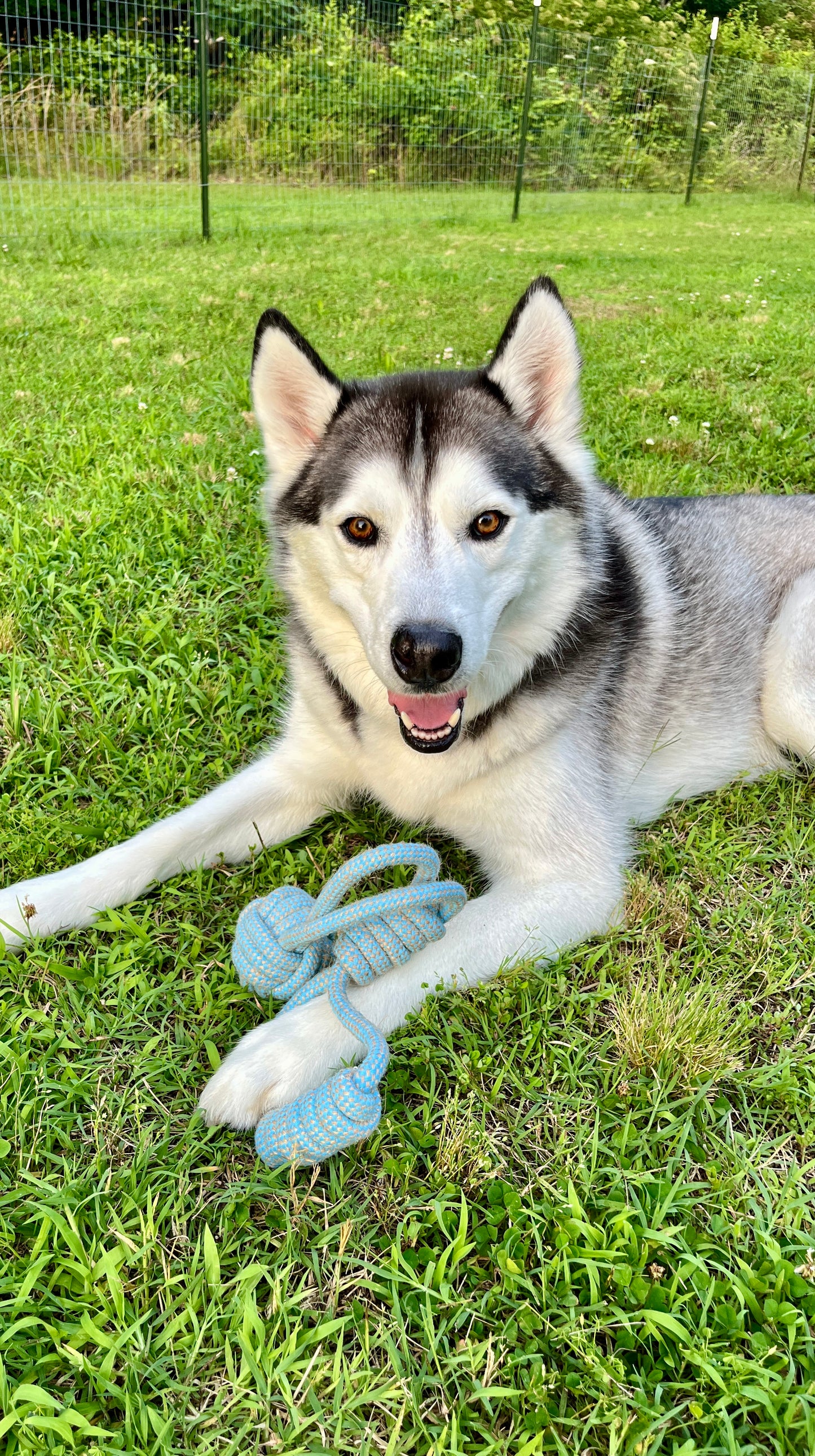 TugBud 100% Organic Hemp Tug and Fetch Toy